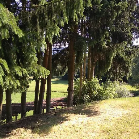 Aparthotel Wohnungen- Christopherhof Mj,grafenwiesen