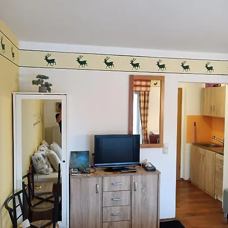 Aparthotel Wohnungen- Christopherhof Mj,grafenwiesen Grafenwiesen