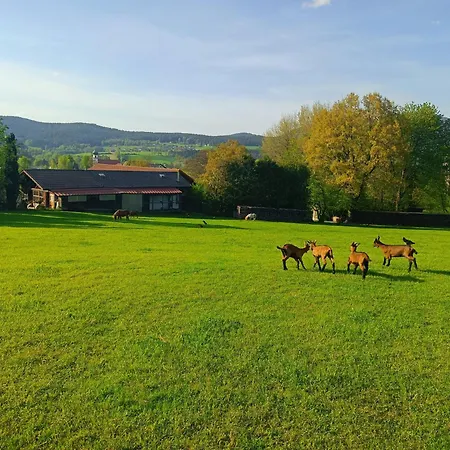 Wohnungen- Christopherhof Mj,grafenwiesen *